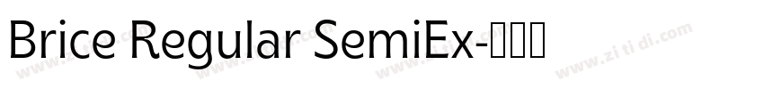 Brice Regular SemiEx字体转换
